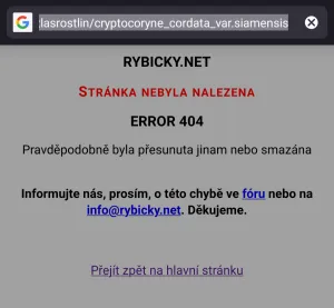 Fotka k příspěvku