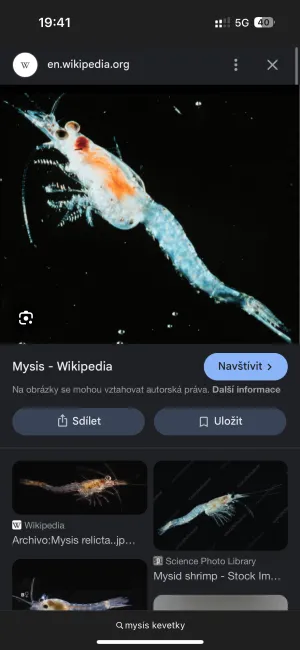 Fotka k příspěvku