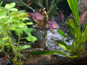 Fotka k příspěvku