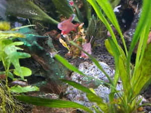 Fotka k příspěvku