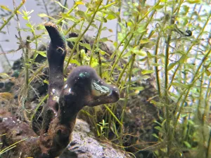 Fotka k příspěvku