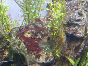 Fotka k příspěvku