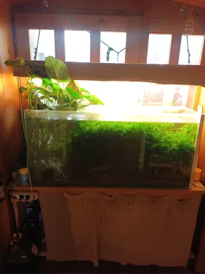 Fotka k příspěvku