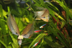 Fotka k příspěvku