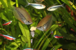 Fotka k příspěvku