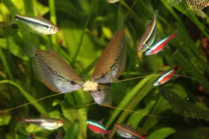 Fotka k příspěvku