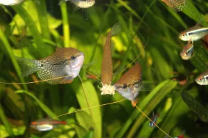 Fotka k příspěvku