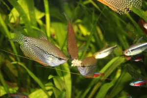 Fotka k příspěvku