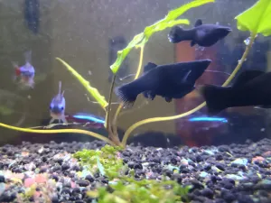 Fotka k příspěvku