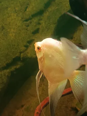 Fotka k příspěvku