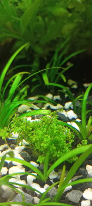 Fotka k příspěvku