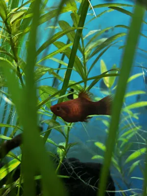 Fotka k příspěvku