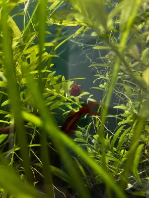 Fotka k příspěvku