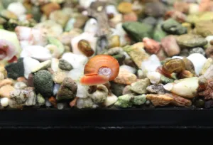 Fotka k příspěvku