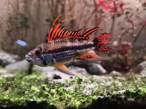 Fotka k příspěvku