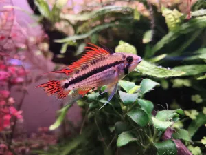 Fotka k příspěvku