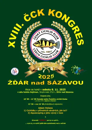 Fotka k příspěvku