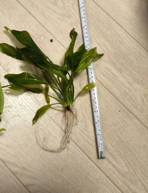 Fotka k příspěvku