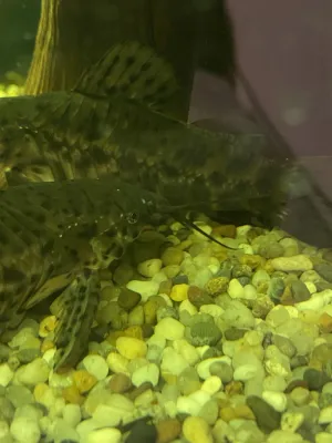 Fotka k příspěvku