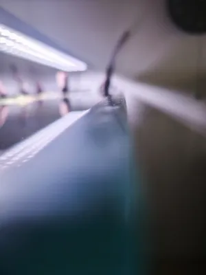 Fotka k příspěvku