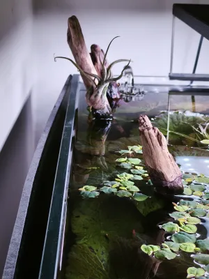 Fotka k příspěvku