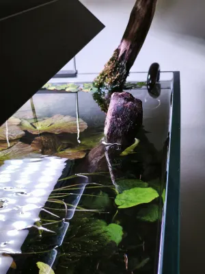 Fotka k příspěvku