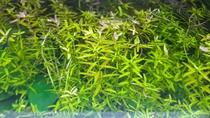 Fotka k příspěvku