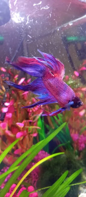 Fotka k příspěvku