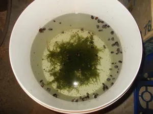 Fotka k příspěvku