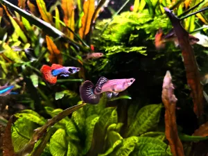 Fotka k příspěvku