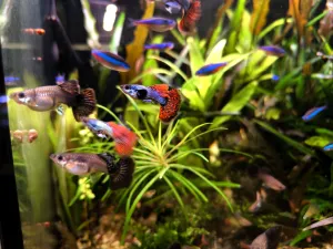 Fotka k příspěvku