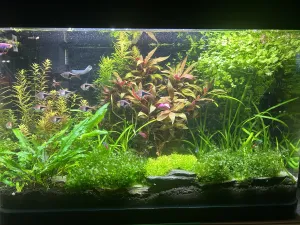 Fotka k příspěvku