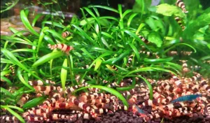 Fotka k příspěvku