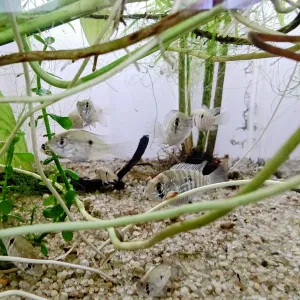 Fotka k příspěvku