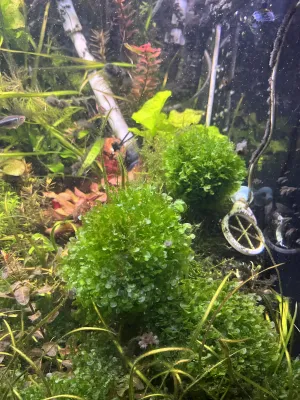 Fotka k příspěvku