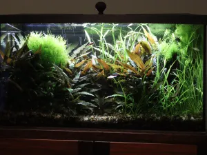 Fotka k příspěvku