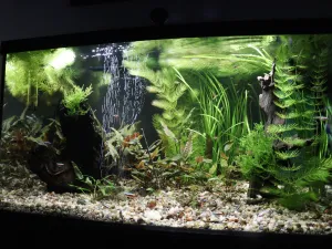 Fotka k příspěvku