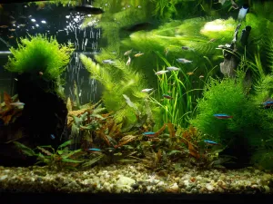 Fotka k příspěvku