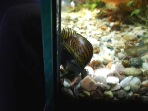 Fotka k příspěvku