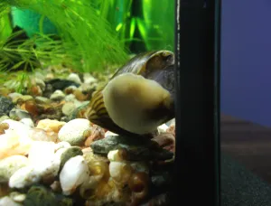 Fotka k příspěvku