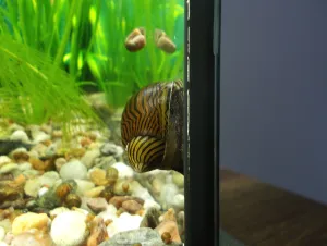 Fotka k příspěvku