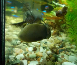 Fotka k příspěvku