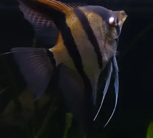 Fotka k příspěvku