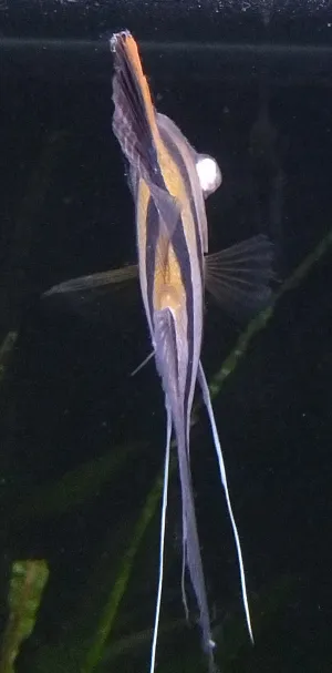 Fotka k příspěvku