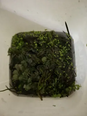 Fotka k příspěvku