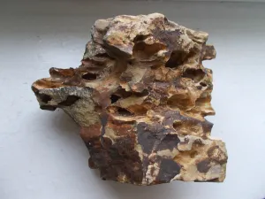 Fotka k příspěvku