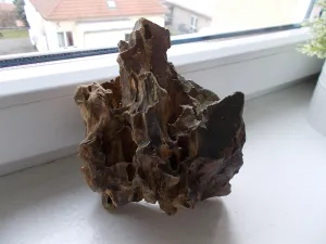 Fotka k příspěvku