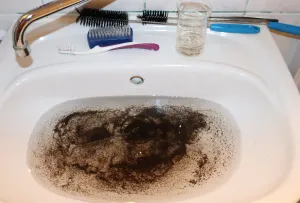 Fotka k příspěvku