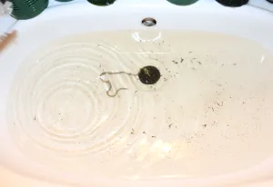 Fotka k příspěvku