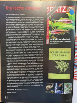 Fotka k příspěvku